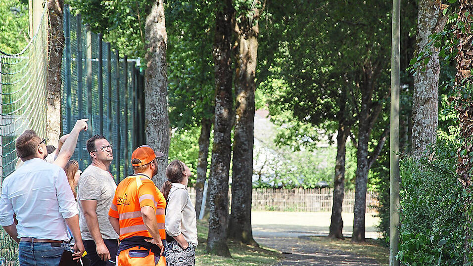 Der Umweltausschuss in der Lindenallee am Hofdorfer Sportplatz. Zwei B&auml;ume neigen sich bedrohlich.