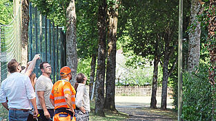 Der Umweltausschuss in der Lindenallee am Hofdorfer Sportplatz. Zwei Bäume neigen sich bedrohlich. Der Umweltausschuss in der Lindenallee am Hofdorfer Sportplatz. Zwei Bäume neigen sich bedrohlich.