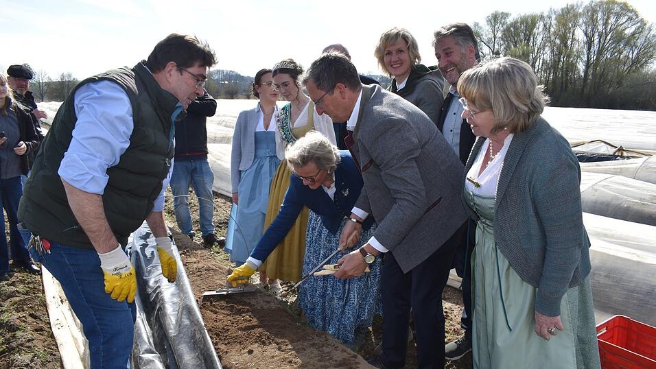 Dehoga-Pr&auml;sidentin Angela Inselkammer, assistiert von Martin Feldmann (links), stach den ersten Abensberger Spargel an.