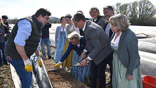 Dehoga-Pr&auml;sidentin Angela Inselkammer, assistiert von Martin Feldmann (links), stach den ersten Abensberger Spargel an.