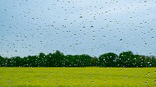 Regen wird es auch in den kommenden Tagen geben.