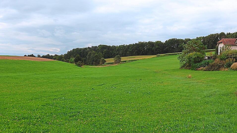 Diese Senke in Altenkreith soll im Zuge des Neubaus einer Ortsumgehung überbaut und der Wadenbach mit einem zwei Meter breiten Durchlass unter der Fahrbahn Richtung Mitterdorf abgeleitet werden. Viel zu klein dimensioniert, findet Stadtrat Rainer Schwarzfischer, der bei der Bürgerversammlung prognostizierte, dass bei einem Rückstau „die Leute in Altenkreith absaufen“. Diese Senke in Altenkreith soll im Zuge des Neubaus einer Ortsumgehung überbaut und der Wadenbach mit einem zwei Meter breiten Durchlass unter der Fahrbahn Richtung Mitterdorf abgeleitet werden. Viel zu klein dimensioniert, findet Stadtrat Rainer Schwarzfischer, der bei der Bürgerversammlung prognostizierte, dass bei einem Rückstau „die Leute in Altenkreith absaufen“.