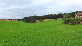 Diese Senke in Altenkreith soll im Zuge des Neubaus einer Ortsumgehung überbaut und der Wadenbach mit einem zwei Meter breiten Durchlass unter der Fahrbahn Richtung Mitterdorf abgeleitet werden. Viel zu klein dimensioniert, findet Stadtrat Rainer Schwarzfischer, der bei der Bürgerversammlung prognostizierte, dass bei einem Rückstau „die Leute in Altenkreith absaufen“.