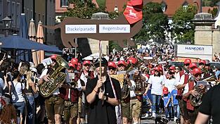 1.170 Dackel nahmen im September 2024 mit ihren Herrchen und Frauchen an der Dackelparade durch die Altstadt von Regensburg teil.