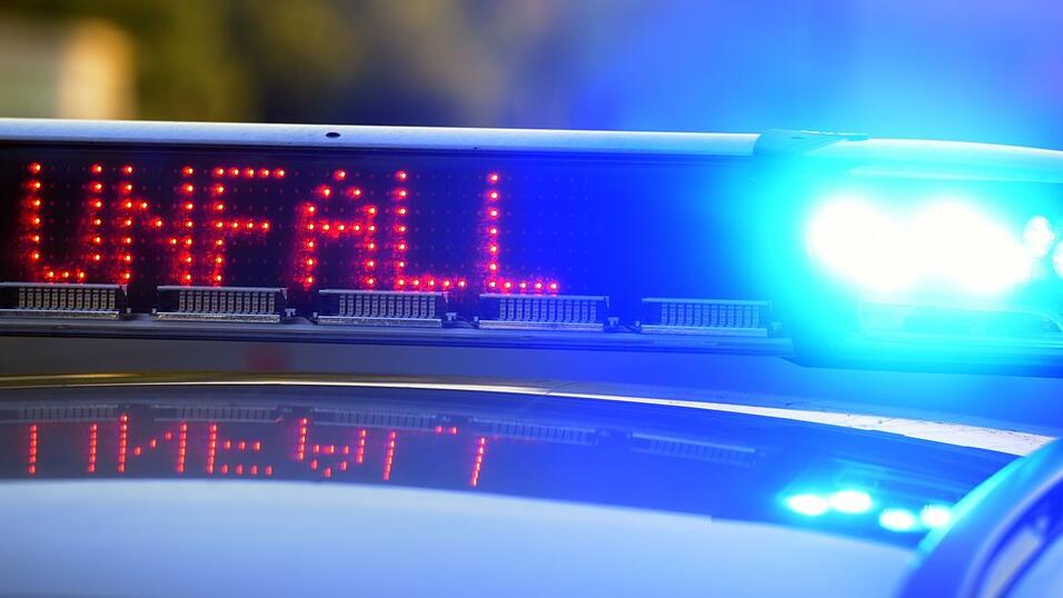 Die Polizei vermutet, dass der Fahrer alkoholisiert war. (Symbolbild) Die Polizei vermutet, dass der Fahrer alkoholisiert war. (Symbolbild)