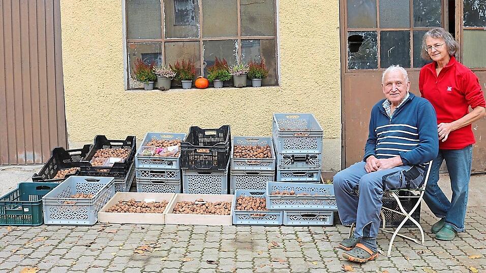 Körbe voller Nüsse trocknen Josef und Rita Hausladen in der Sonne im Hof. Körbe voller Nüsse trocknen Josef und Rita Hausladen in der Sonne im Hof.