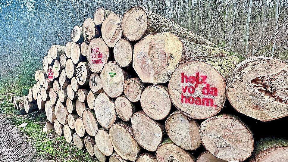 Aus diesen Stämmen aus dem Gut Voithenberg wird die Kuppel der Park-Arena. Aus diesen Stämmen aus dem Gut Voithenberg wird die Kuppel der Park-Arena.