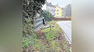 Der ramponierte Gartenzaun. Der ramponierte Gartenzaun.