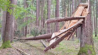 Gebrochene Fichte nach dem Gewittersturm am 30. Mai Gebrochene Fichte nach dem Gewittersturm am 30. Mai