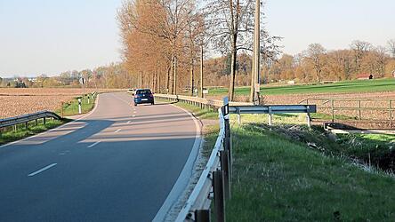Die Stra&szlig;e von Allersdorf nach Schierling ist die wildunfalltr&auml;chtigste Stra&szlig;e im Mannsdorfer Revier.