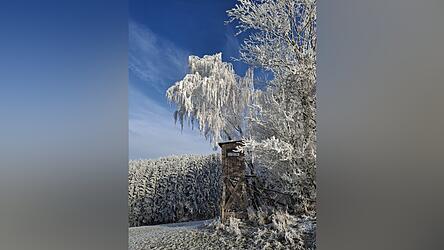 In den letzten Dezembertagen herrschte Dauerfrost und bei starkem Nebel bildete sich bis zum Jahresende vielerorts eine Raureiflandschaft - hier in Rattiszell - aus.