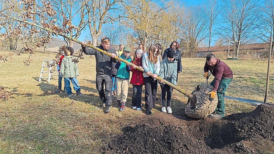 Einige Mitglieder des Kinderbeirates pflanzten mit Unterstützung des Gartenamtes und Oberbürgermeisterin Gertrud Maltz-Schwarzfischer (Dritte von rechts) die Sommereiche 'Karl' im Donaupark. Einige Mitglieder des Kinderbeirates pflanzten mit Unterstützung des Gartenamtes und Oberbürgermeisterin Gertrud Maltz-Schwarzfischer (Dritte von rechts) die Sommereiche 'Karl' im Donaupark.