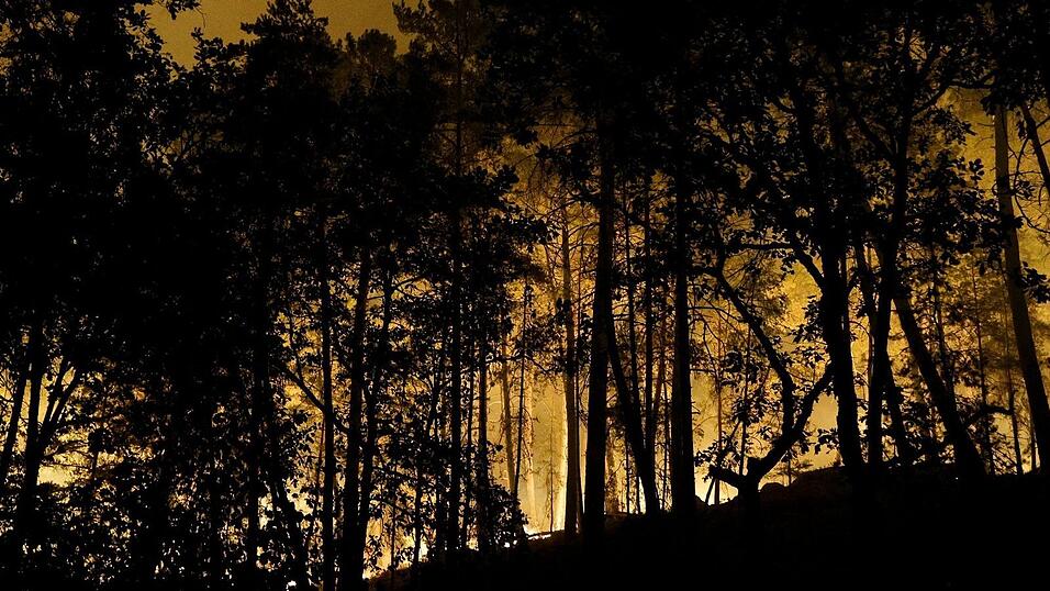 Die Feuerwehr kämpft mit rund 400 Kräften und Löschflugzeugen gegen den Brand im Wald von Fontainebleau. Die Feuerwehr kämpft mit rund 400 Kräften und Löschflugzeugen gegen den Brand im Wald von Fontainebleau.