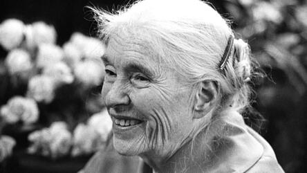 Die Schriftstellerin Anna Seghers (1900–1983) war eine gefeierte Erzählerin des Widerstands und Präsidentin des Schriftstellerverbands der DDR (Archivbild anlässlich ihres 80. Geburtstag in Berlin).