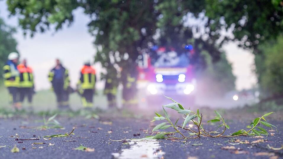 Zweige und Äste fielen auf Straßen. Zweige und Äste fielen auf Straßen.