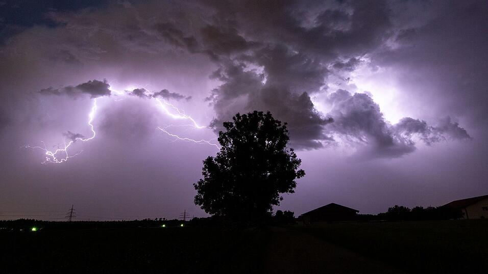 Wenn ein Blitz in einen Baum einschlägt, geht er meistens ein. (Symbolbild)