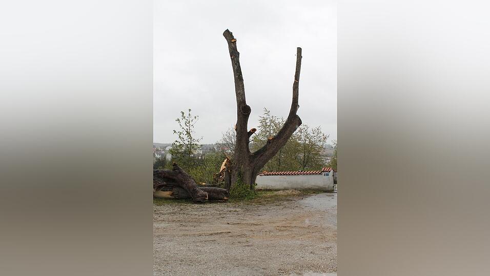 Ein Teil des abgebrochenen Baumes viel auch auf die Friedhofsmauer.