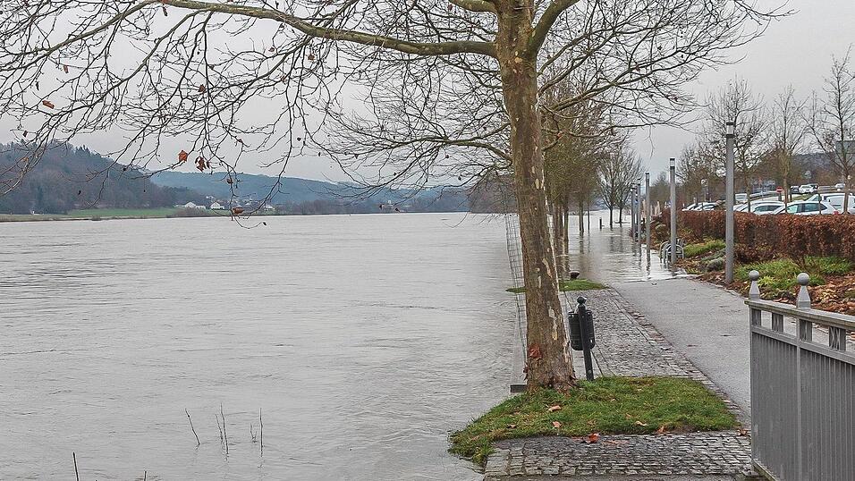 Auch in Vilshofen stieg die Donau &uuml;ber die Ufer.