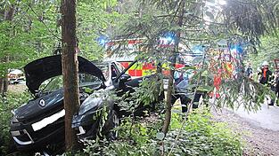 Der Baum hat die Front des Wagens bei der Kolliision eingedrückt.