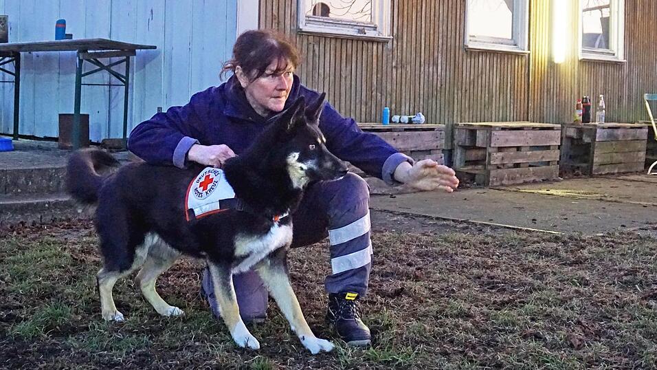Rosie ist ein Flächensuchhund in Ausbildung. Damit Jäger die viereinhalbjährige Husky-Hütehund-Mischlingshündin bei einer Suche nicht mit einem wildernden Hund verwechseln, hat ihr Hundeführerin Claudia Altmann ein Geschirr mit dem Logo des Roten Kreuzes angelegt. Rosie ist ein Flächensuchhund in Ausbildung. Damit Jäger die viereinhalbjährige Husky-Hütehund-Mischlingshündin bei einer Suche nicht mit einem wildernden Hund verwechseln, hat ihr Hundeführerin Claudia Altmann ein Geschirr mit dem Logo des Roten Kreuzes angelegt.
