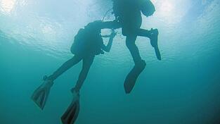 Einige Übungen erfordern auch das kontrollierte Auftauchen aus ungefähr sieben Metern Tiefe. Anschließend geht es wieder nach unten. Einige Übungen erfordern auch das kontrollierte Auftauchen aus ungefähr sieben Metern Tiefe. Anschließend geht es wieder nach unten.