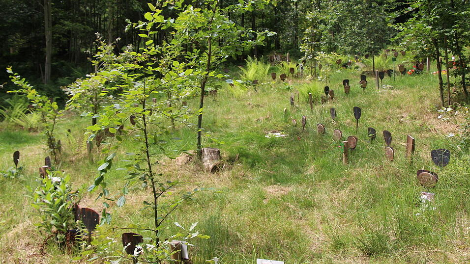 Ein Blick auf die „Feenwiese“ im Naturfriedhof Eremia in Bruckberg. Ein Blick auf die „Feenwiese“ im Naturfriedhof Eremia in Bruckberg.