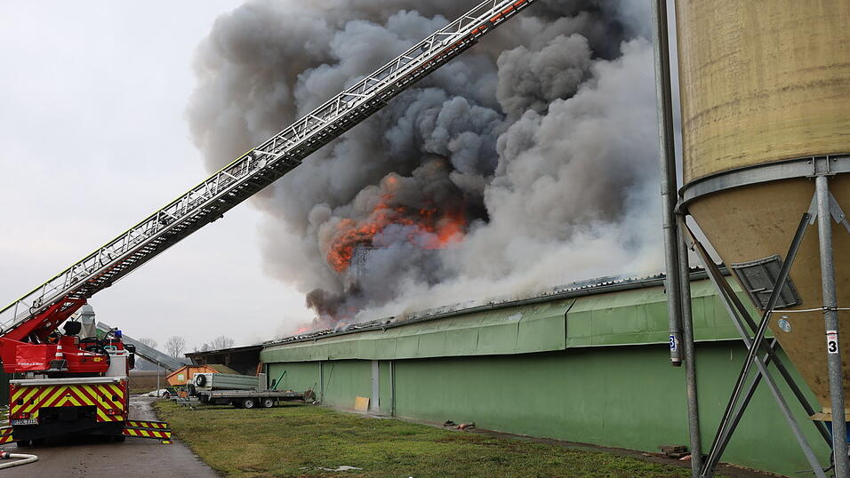 Das Feuer im H&uuml;hnerstall in Pfatter im Landkreis Regensburg brach am Mittwochvormittag aus.