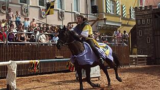 2009 fanden die Ritterspiele letztmals auf dem Stadtplatz statt (hier Stefan Simeth). Heuer sollen sie wieder die Besucher anlocken.