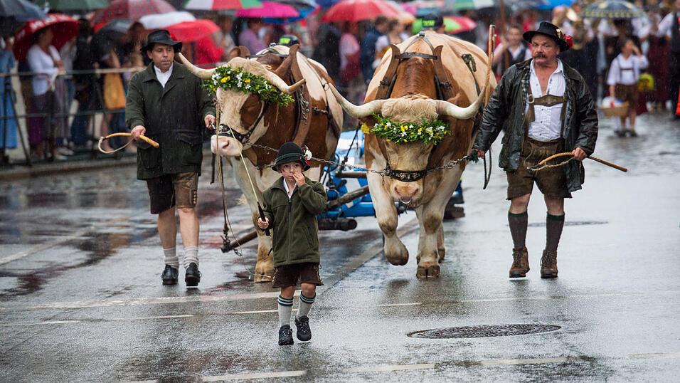 Alle Bilder dazu finden Sie hier.Foto: Mathias AdamBilder vom verregneten Volksfestauszug.