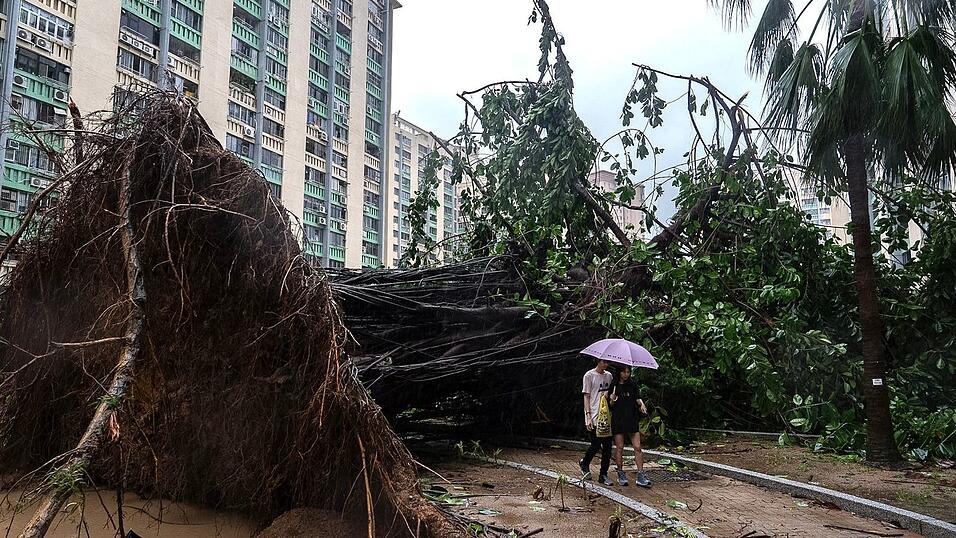 In Hongkong stürzten Hunderte Bäume um.