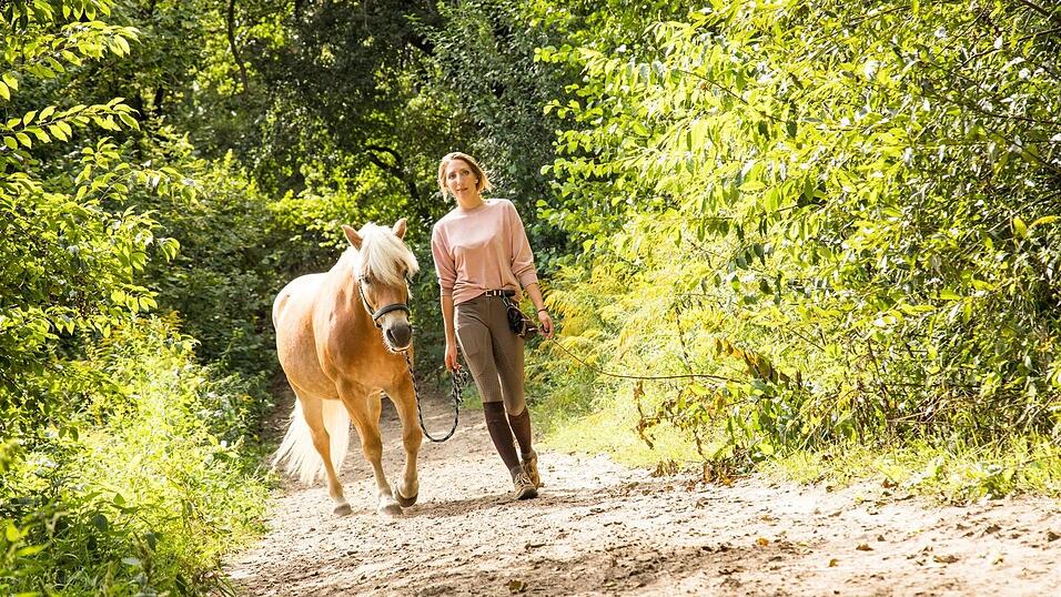 Bewegung in der Natur: Reiten ist ein perfekter Stressausgleich. Bewegung in der Natur: Reiten ist ein perfekter Stressausgleich.