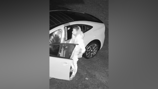 Die Polizei bitte um Hinweise zu diesem Mann.