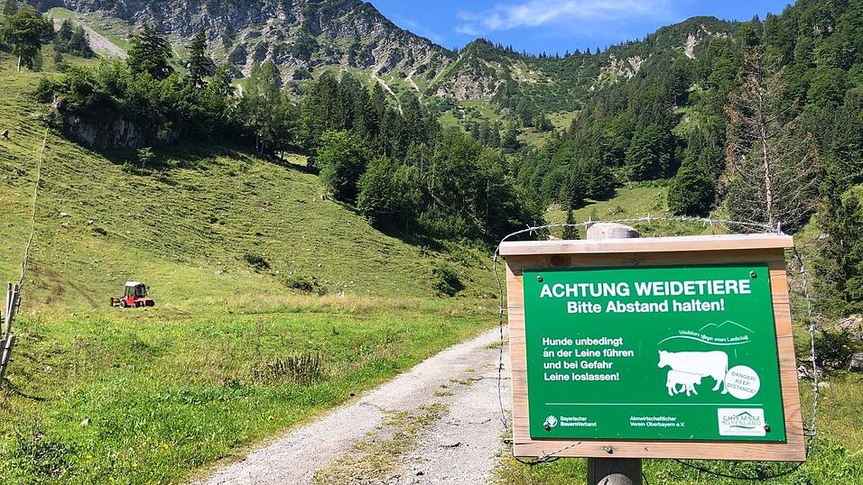 Beim Betreten von Weidegebiet ist Vorsicht geboten. (Symbolbild) Beim Betreten von Weidegebiet ist Vorsicht geboten. (Symbolbild)