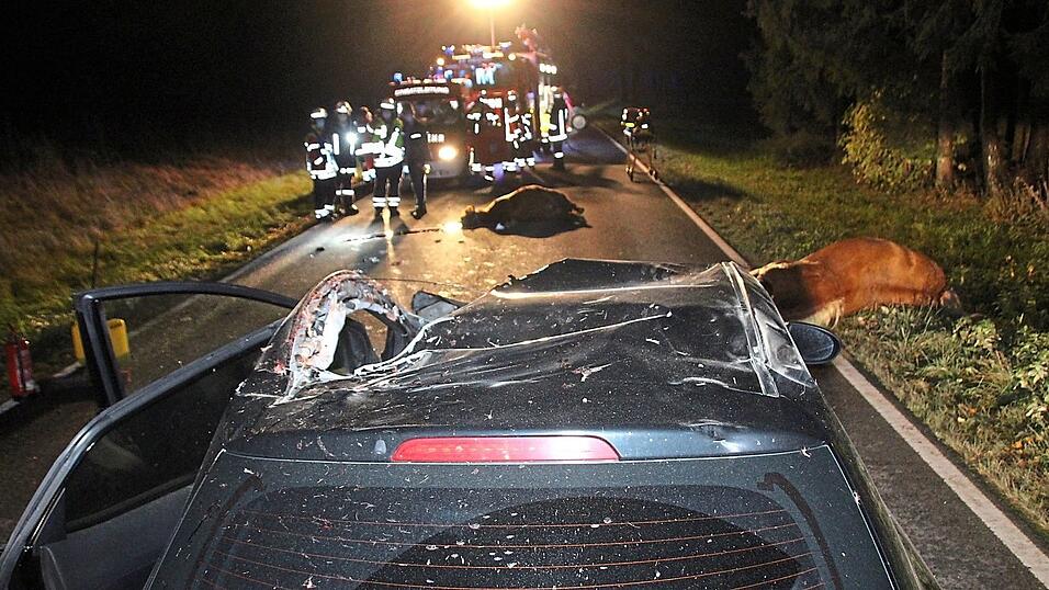 Verkehrsunf&auml;lle, bei denen Pferde im Spiel sind, gehen selten gut aus. Nicht nur f&uuml;r die Tiere. Denn auch den Autoinsassen drohen beim Zusammenprall mit einem der mehrere hundert Kilo schweren Tiere schwerste Verletzungen. Unser Bild zeigt ein Beispiel solch eines Unfalls, der sich aber nicht in der Region ereignete.