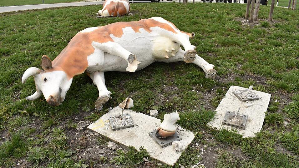 Wieder einmal hat es den berühmten Kuh-Kreisel in Gottfrieding erwischt. Ein betrunkener Autofahrer rammte am Samstag eine der Kühe. Hier ein Archivbild einer früheren Beschädigung an dem Kreisverkehr. Wieder einmal hat es den berühmten Kuh-Kreisel in Gottfrieding erwischt. Ein betrunkener Autofahrer rammte am Samstag eine der Kühe. Hier ein Archivbild einer früheren Beschädigung an dem Kreisverkehr.