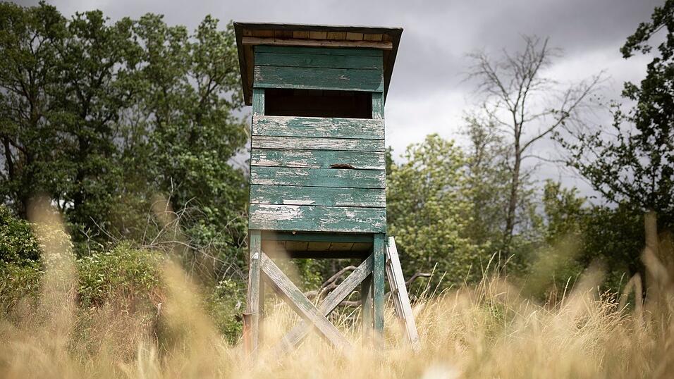 Das bayerische Jagdrecht wird reformiert. (Archivbild)