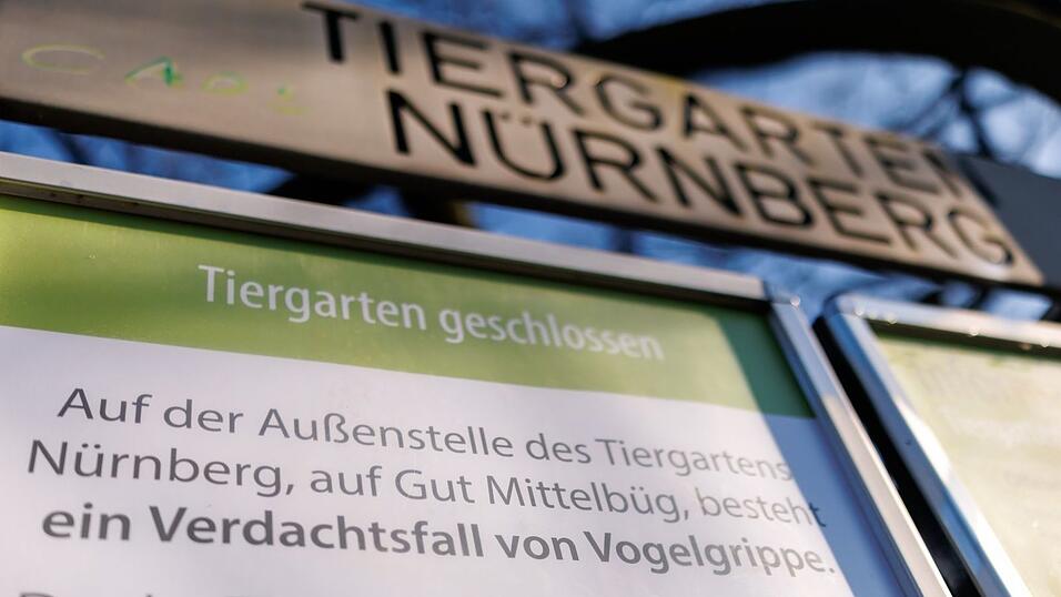 Wegen Vogelgrippe-Fällen bei Weißstörchen ist der Tiergarten Nürnberg aktuell geschlossen. Wegen Vogelgrippe-Fällen bei Weißstörchen ist der Tiergarten Nürnberg aktuell geschlossen.