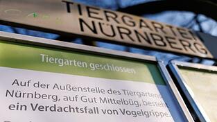 Wegen Vogelgrippe-Fällen bei Weißstörchen ist der Tiergarten Nürnberg aktuell geschlossen.