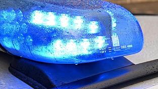 Die Polizei konnte nach einem Autodiebstahl den Täter ermitteln. (Symbolbild)