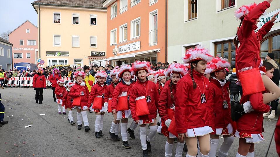 Beim Bogener Faschingsumzug war einiges geboten.