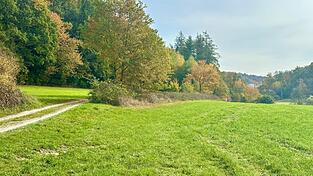 Der stark verweste Körper wurde von einem Spaziergänger in einem Waldstück nahe diesem Weg zwischen Dr.-Georg-Schäfer-Straße und Drachensee entdeckt.
