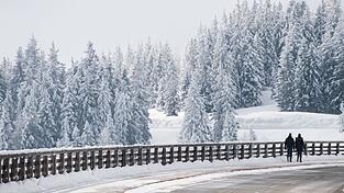 Die Panoramastraße ist ein bekanntes Fotomotiv – und auch zum Driften bei Schnee beliebt. (Symbolbild)