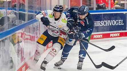 Tim Brunnhuber (rechts) spielt schon seine sechste Saison im Trikot der Straubing Tigers.