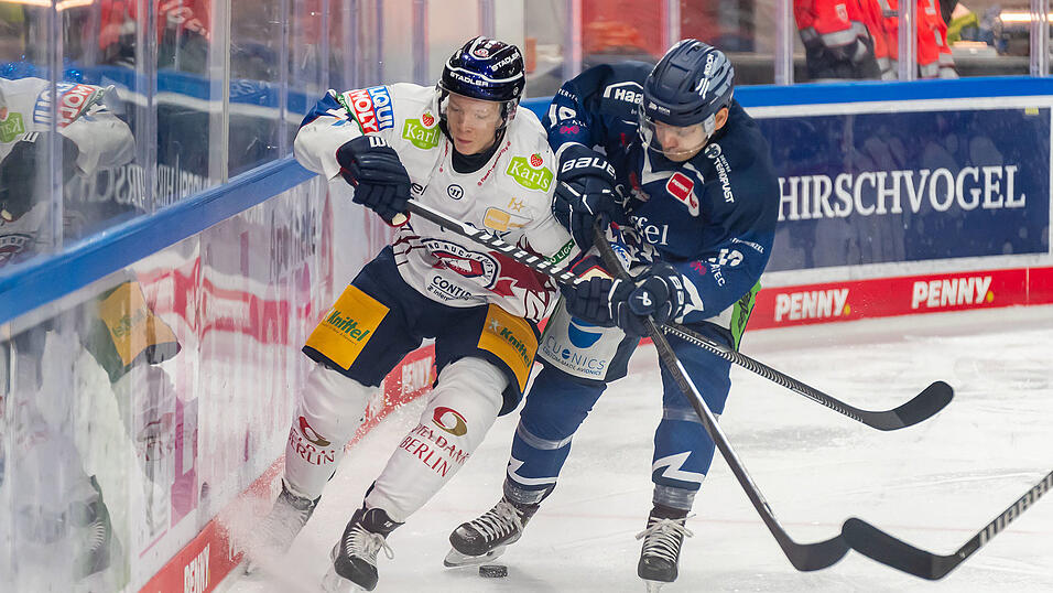 Tim Brunnhuber (rechts) spielt schon seine sechste Saison im Trikot der Straubing Tigers. Tim Brunnhuber (rechts) spielt schon seine sechste Saison im Trikot der Straubing Tigers.