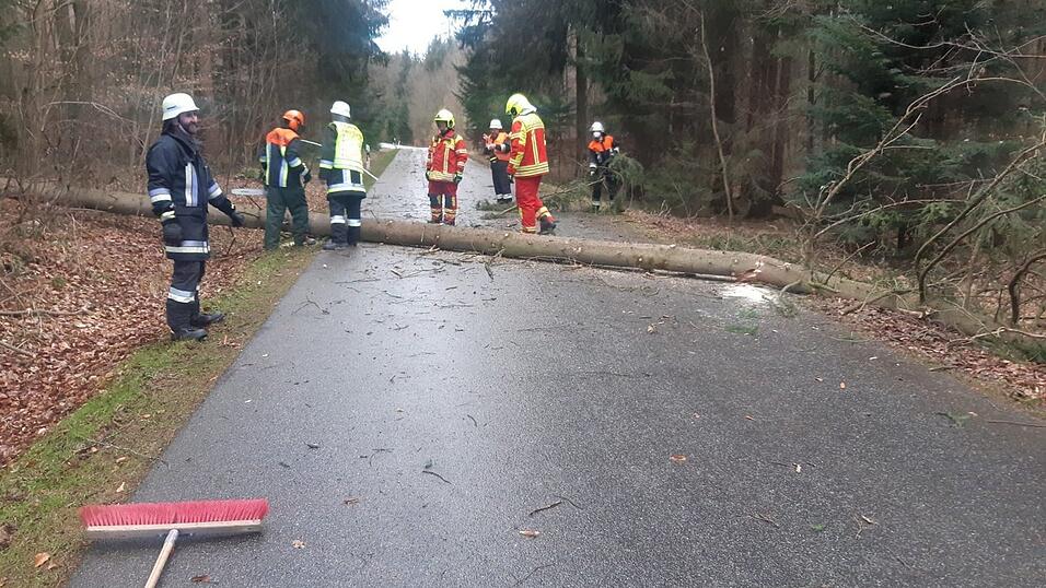 Ein umgestürzter Baum bei Ergoldsbach. Ein umgestürzter Baum bei Ergoldsbach.