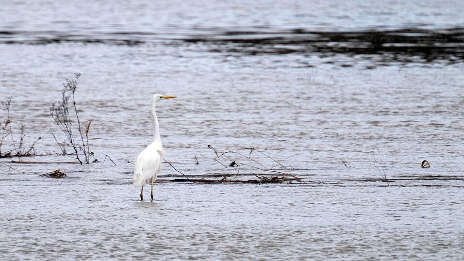 An der Itz gibt es Hochwasser.