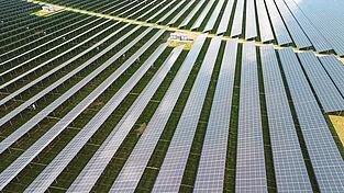 Auf drei Feldern an der B 20 bei Kugl und Straßhaus will ein Investor Freiflächenphotovoltaikanlagen mit einer Leistung von 11,4 Megawatt in der Spitze aufbauen.