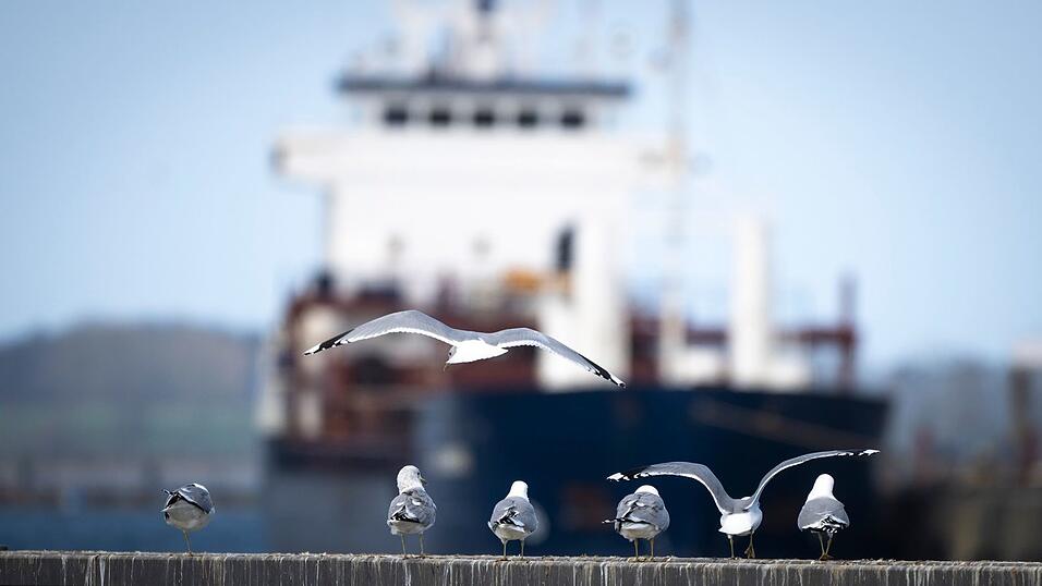 Das Wetter zum Wochenende wird wechselhaft.