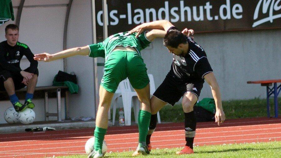 Die SpVgg Landshut schenkte gegen Rosenheim eine 2:0 Führung wieder her (Foto: Herrmann). Die SpVgg Landshut schenkte gegen Rosenheim eine 2:0 Führung wieder her (Foto: Herrmann).