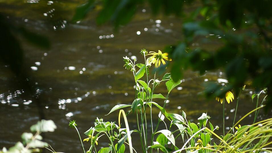 Wunderschönes Ausflugsziel in Passau: die Halser Ilzschleifen. Wunderschönes Ausflugsziel in Passau: die Halser Ilzschleifen.